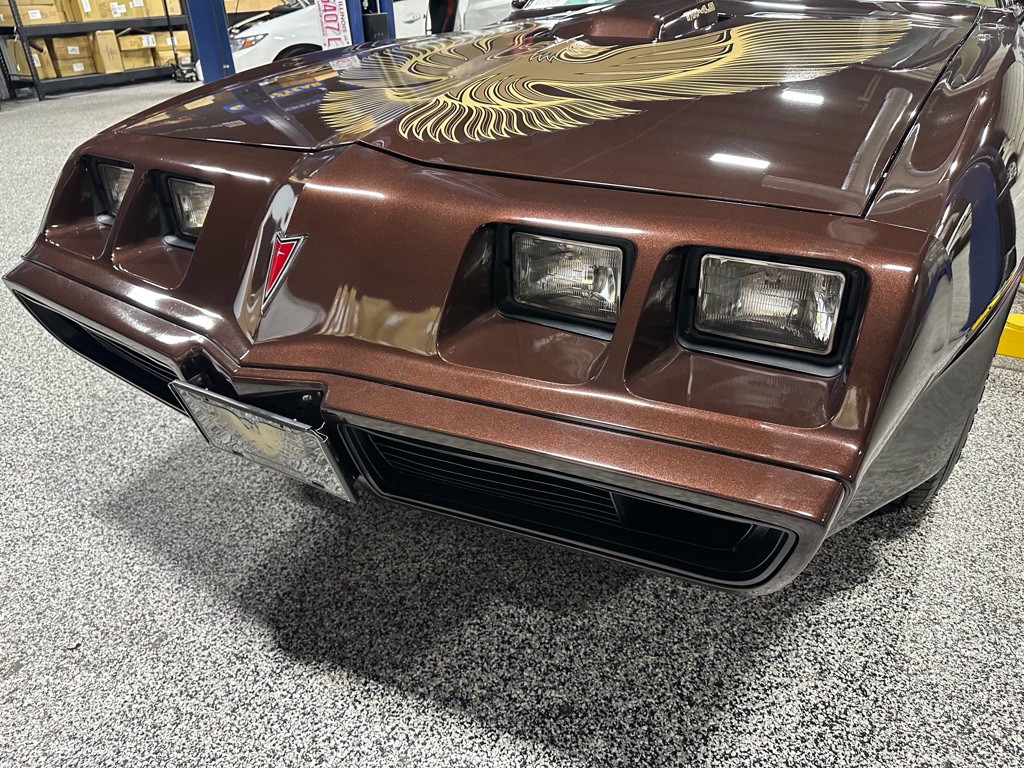 1981 Pontiac Firebird Image 94