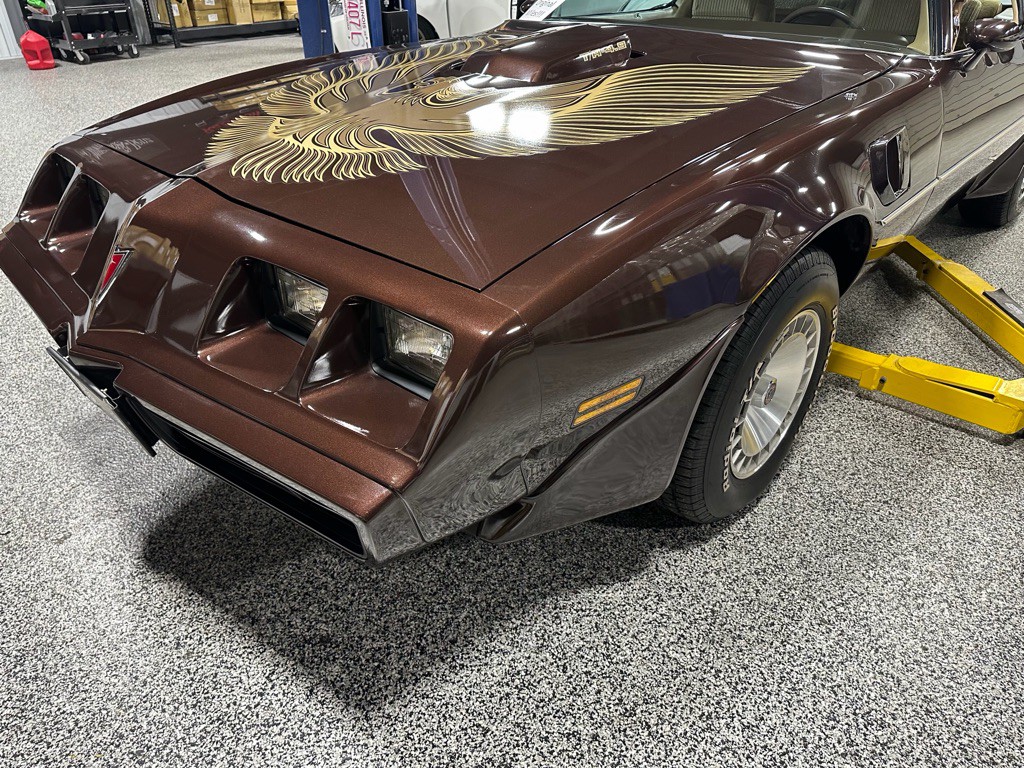 1981 Pontiac Firebird Image 95