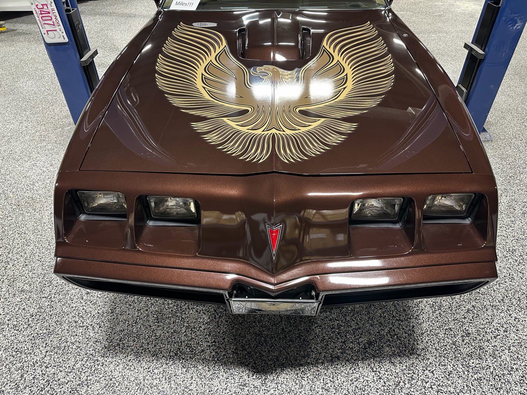 1981 Pontiac Firebird Image 97