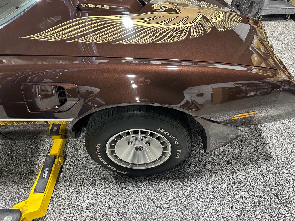 1981 Pontiac Firebird Image 99