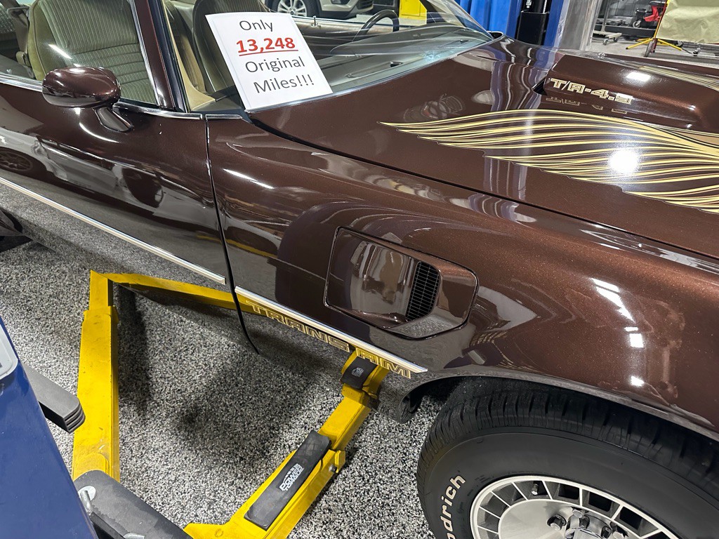 1981 Pontiac Firebird Image 100