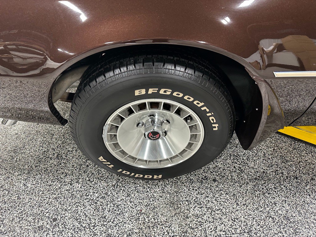 1981 Pontiac Firebird Image 102