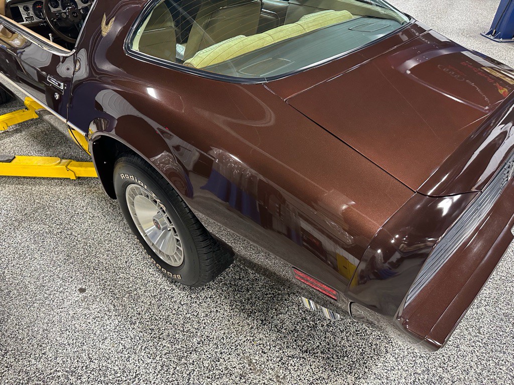 1981 Pontiac Firebird Image 108