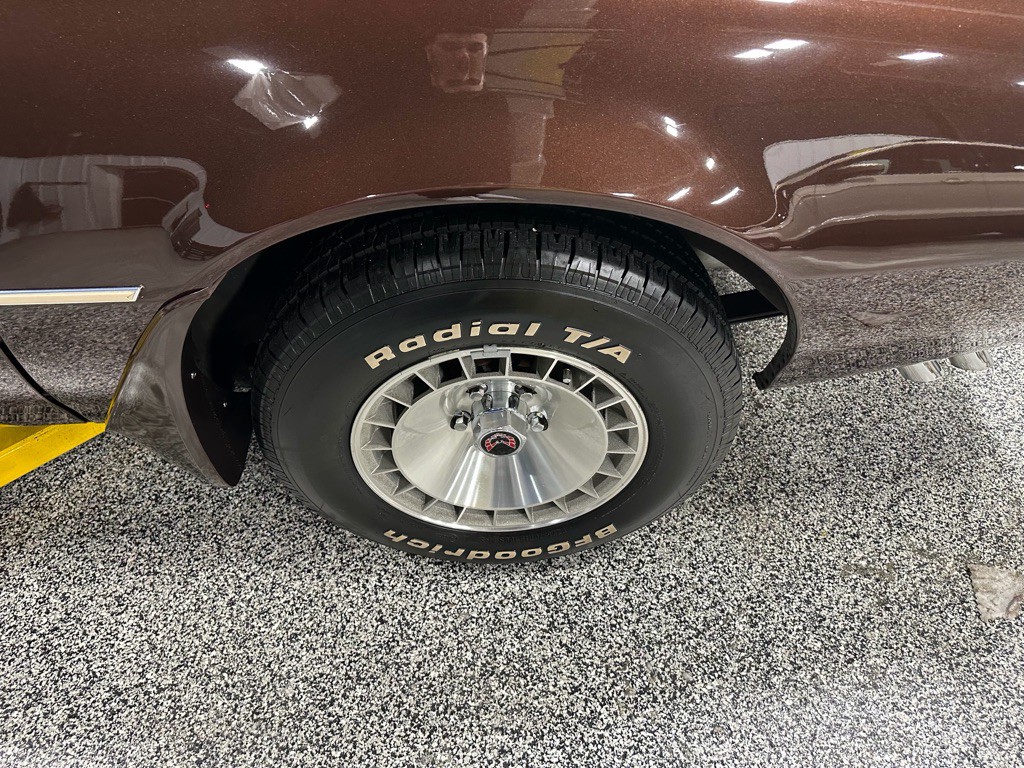 1981 Pontiac Firebird Image 109