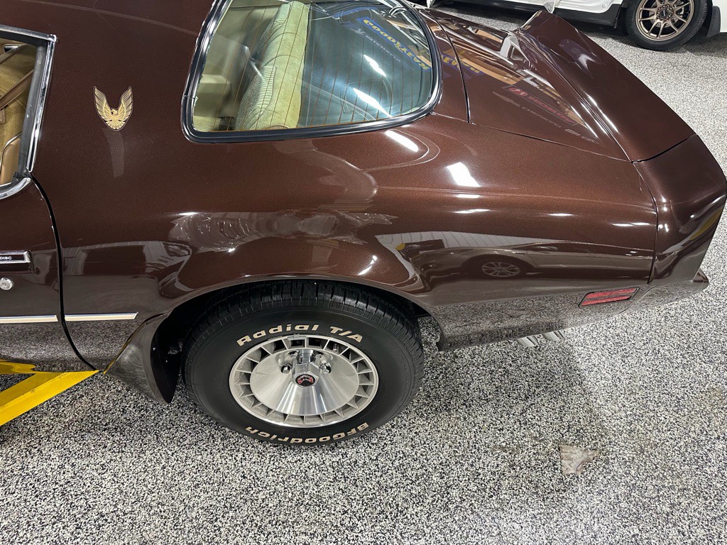 1981 Pontiac Firebird Image 110