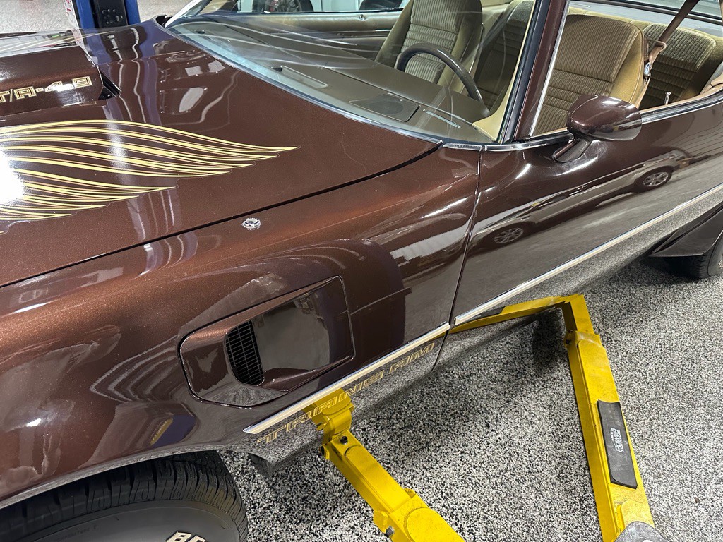 1981 Pontiac Firebird Image 113