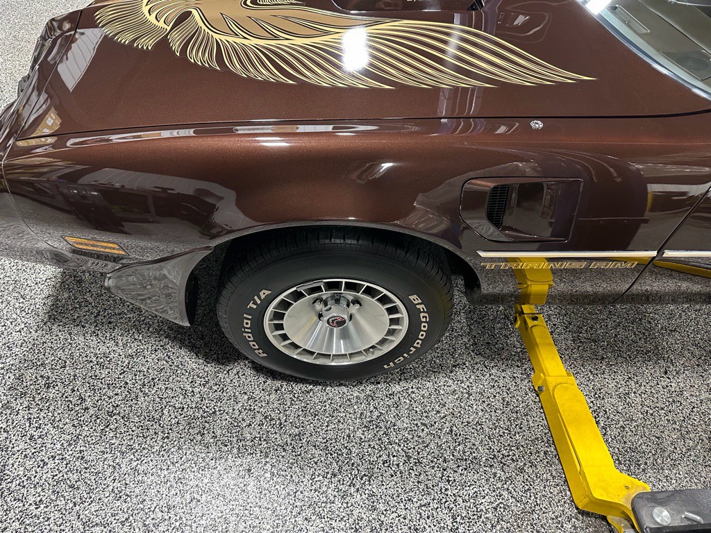 1981 Pontiac Firebird Image 115