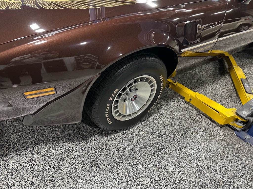 1981 Pontiac Firebird Image 116