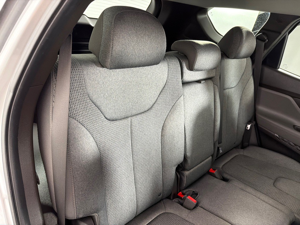 2020 Hyundai Santa Fe Image 20