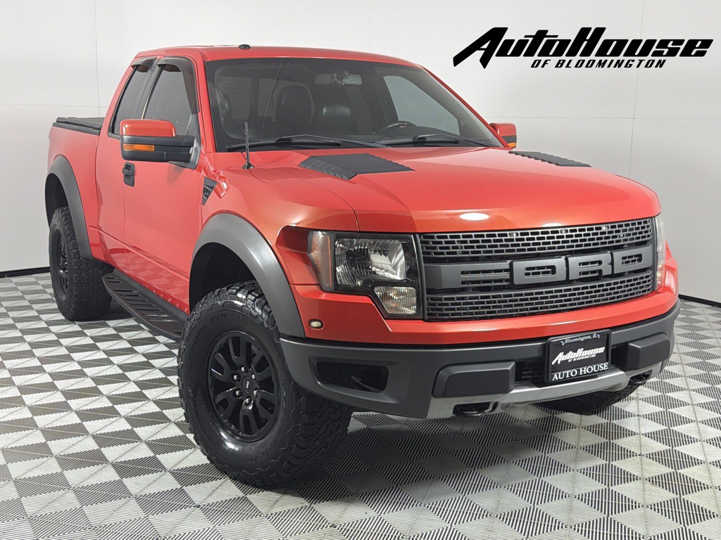 2010 Ford F-150 Image 1