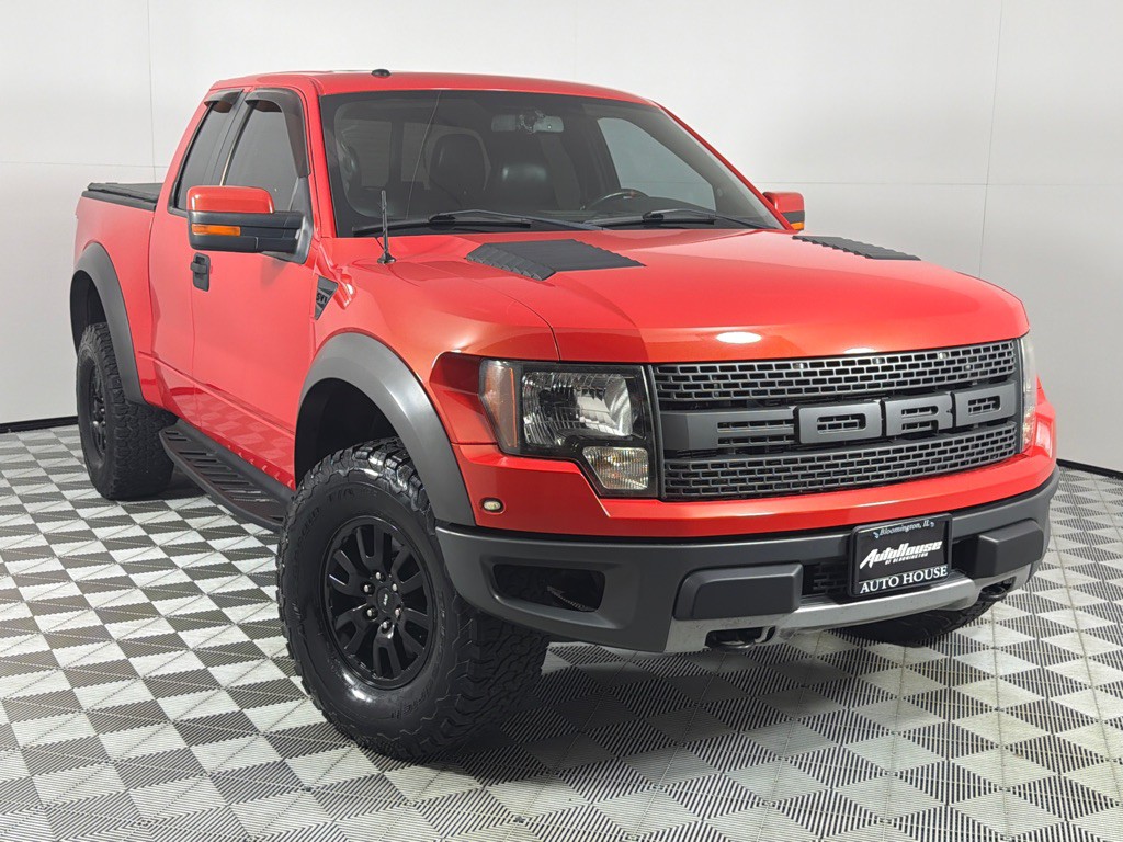 2010 Ford F-150 Image 2