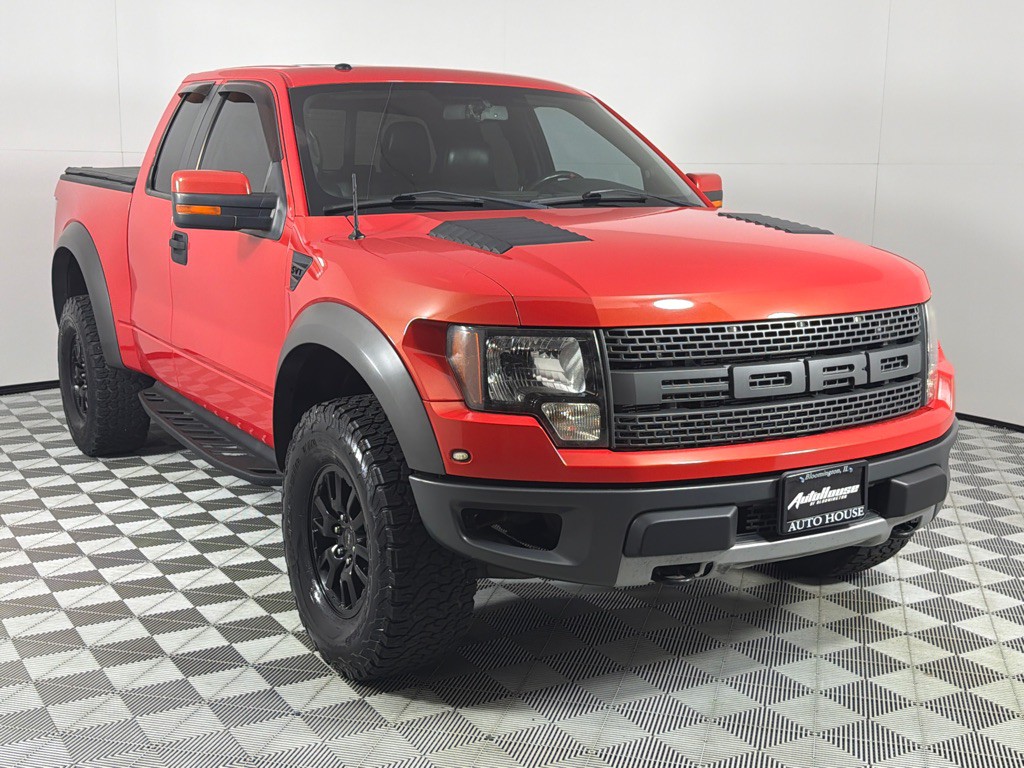 2010 Ford F-150 Image 3