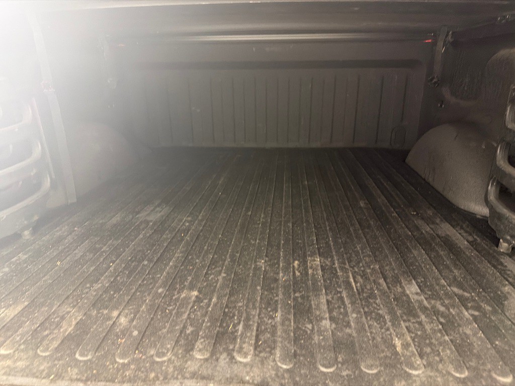 2010 Ford F-150 Image 28