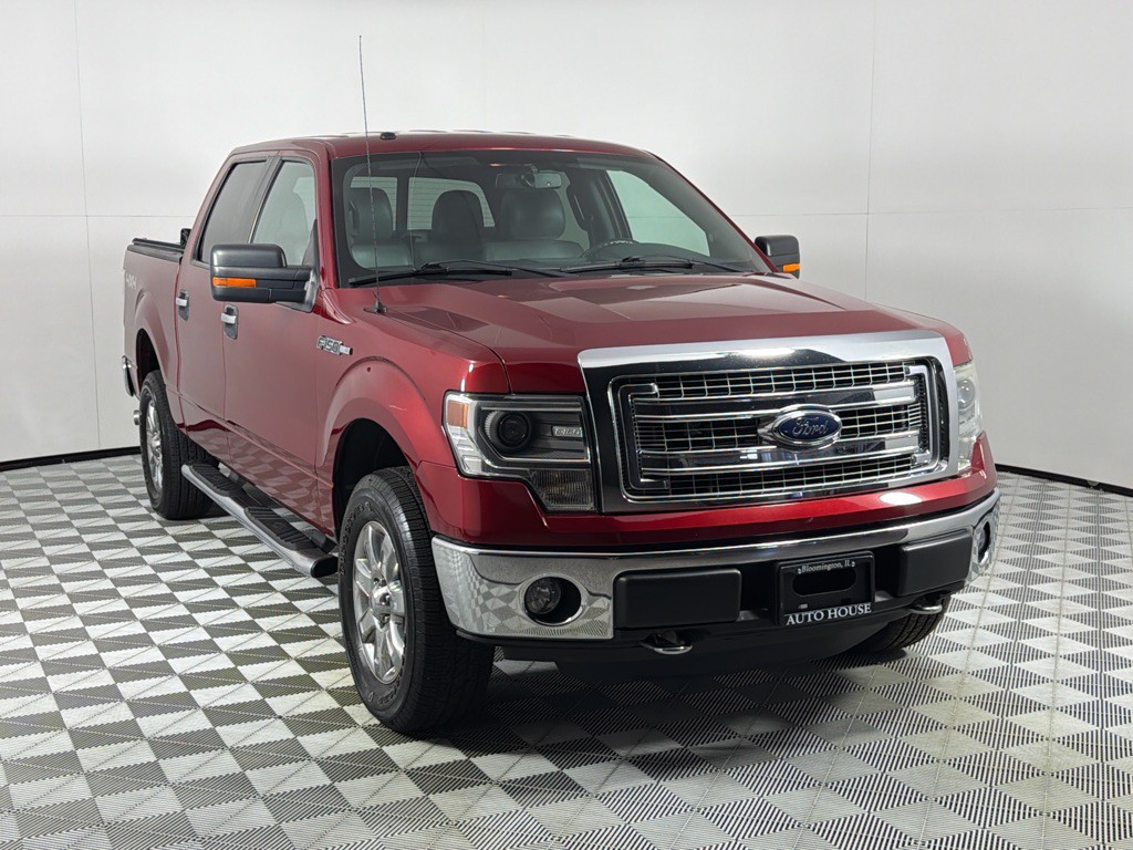 2014 Ford F-150 Image 3