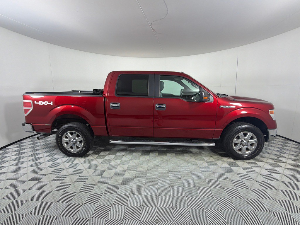 2014 Ford F-150 Image 4