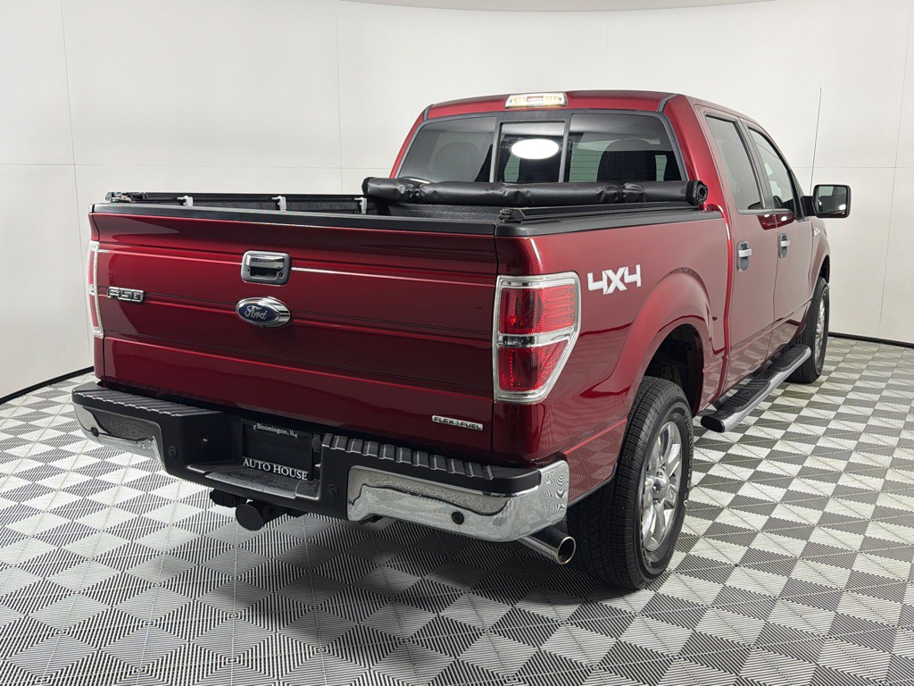 2014 Ford F-150 Image 5