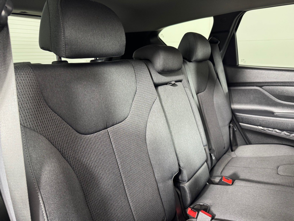 2019 Hyundai Santa Fe Image 24