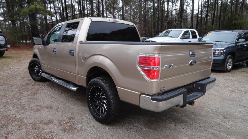 2014 Ford F-150 Image 3