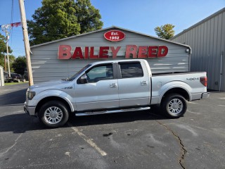 Image for 2010 Ford F-150  ID: 7673621