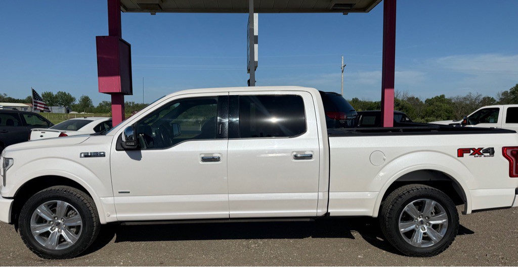 2015 Ford F-150 Image 1