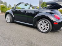 Image for 2003 Volkswagen Beetle GLX ID: 6912850