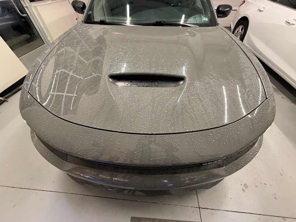 2019 Dodge Charger Image 4