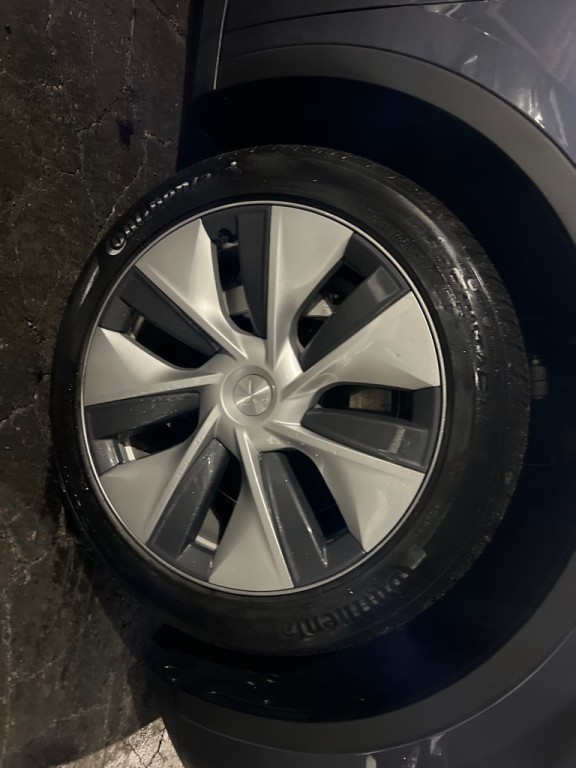 2023 Tesla Model Y Image 39