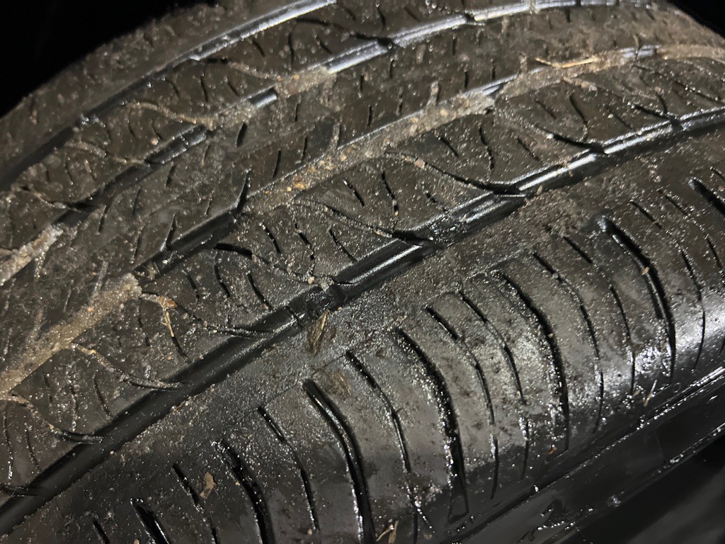 2023 Tesla Model Y Image 40