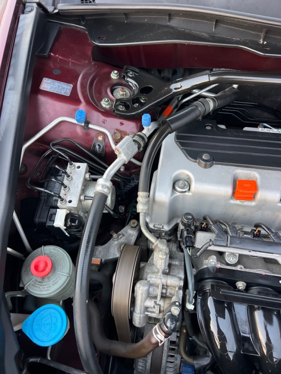 2010 Honda Accord Image 47