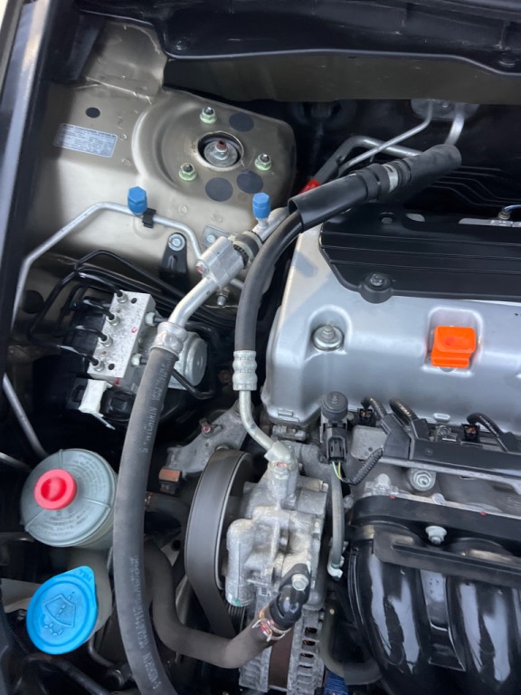 2010 Honda Accord Image 45