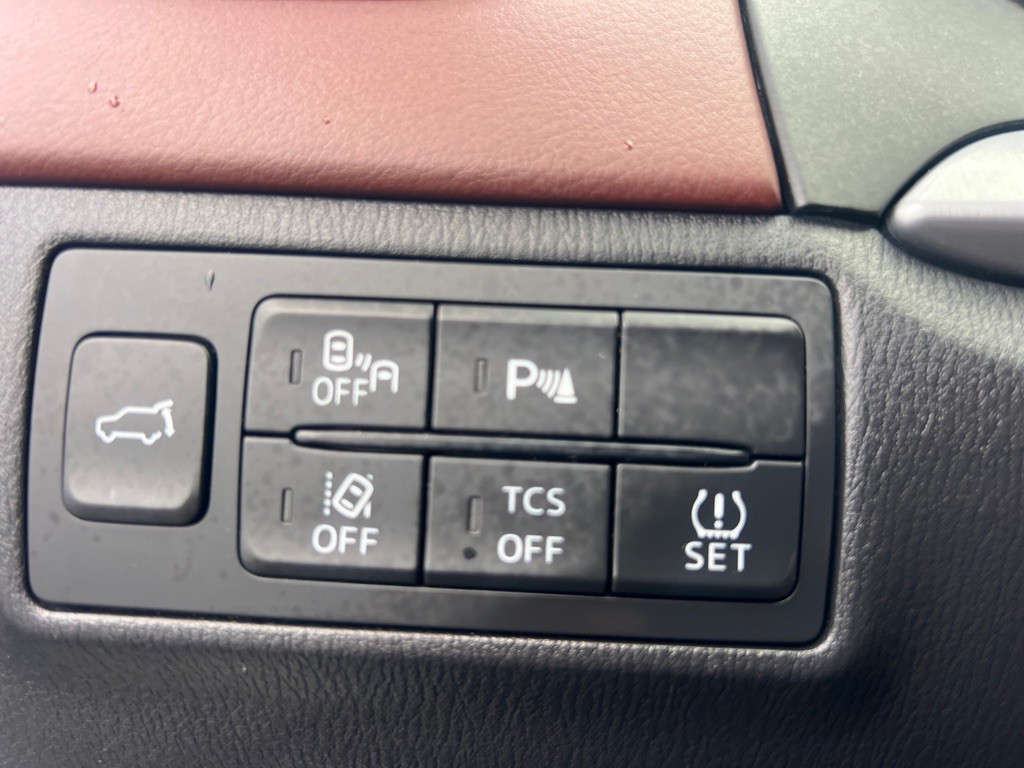 2016 Mazda CX-9 Image 21