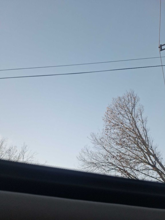 2010 Honda Accord Image 10