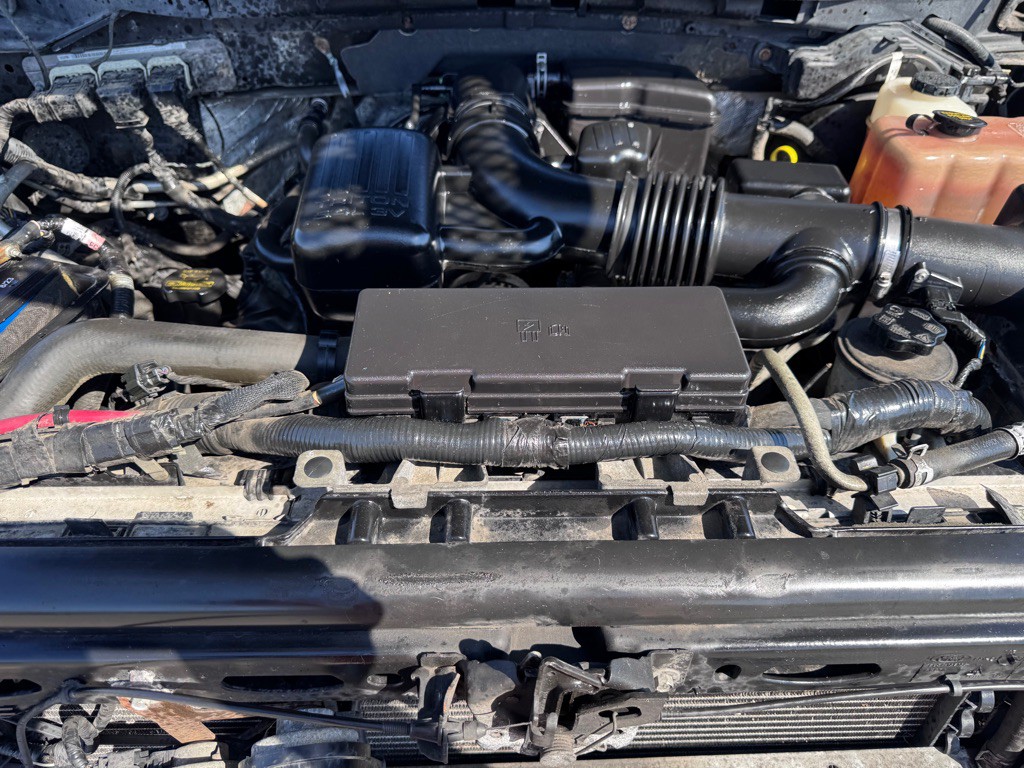 2010 Ford F-150 Image 5