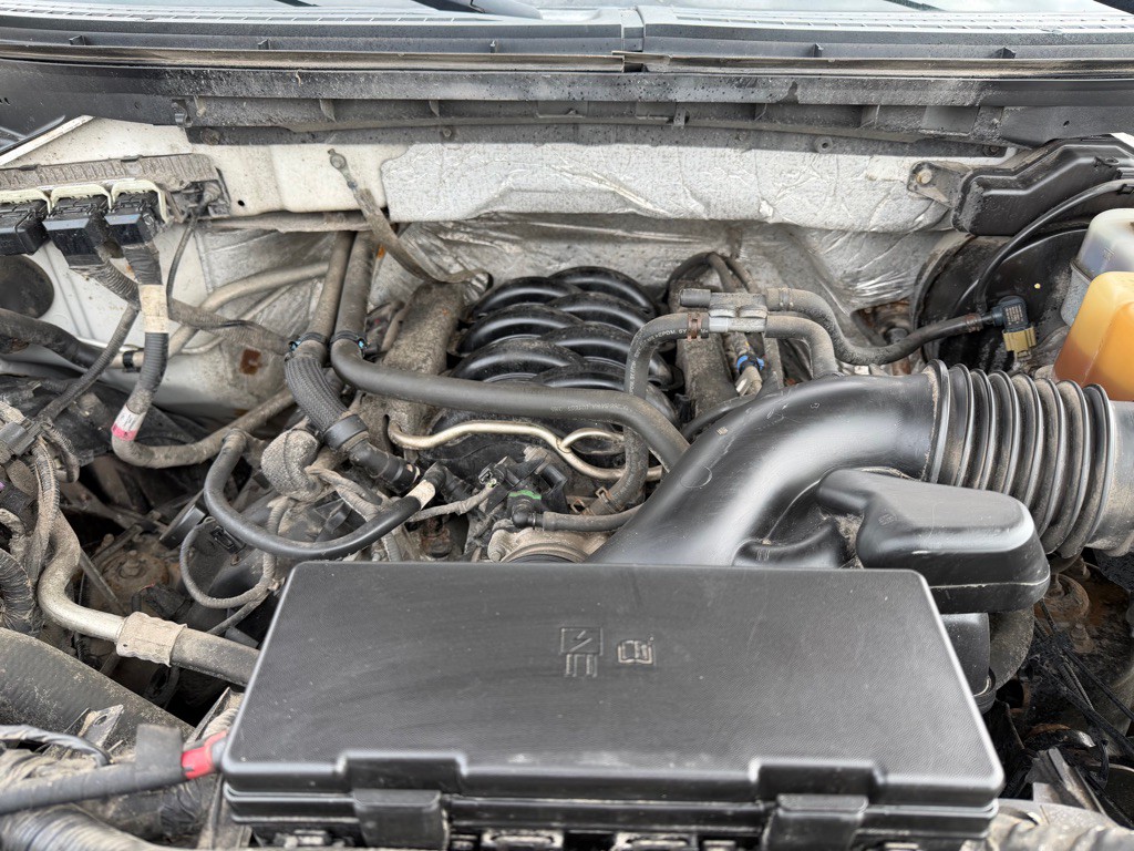 2012 Ford F-150 Image 5