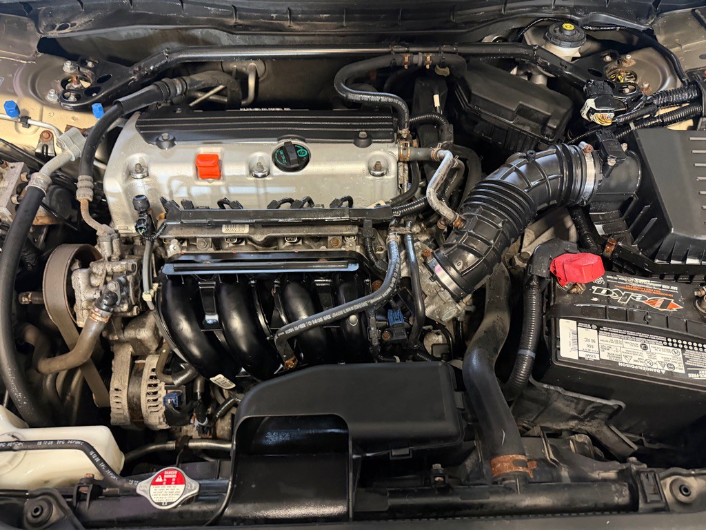 2010 Honda Accord Image 5