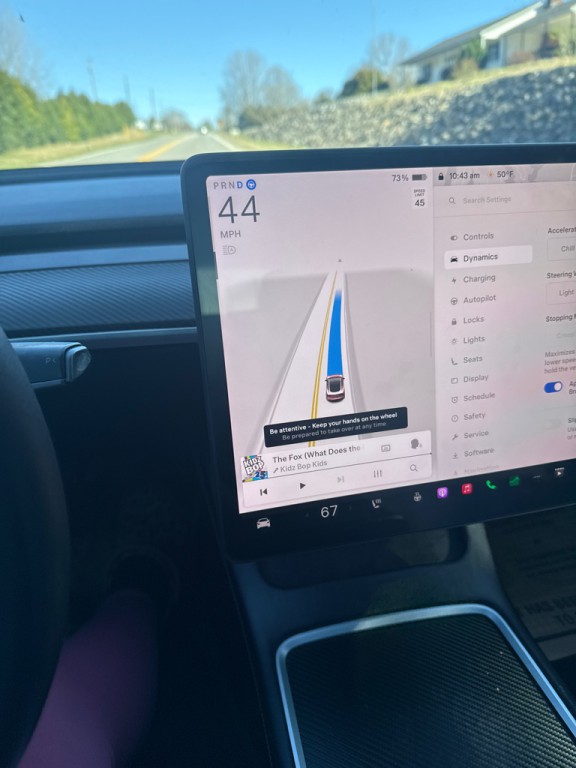 2021 Tesla Model 3 Image 18