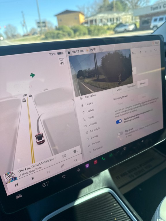 2021 Tesla Model 3 Image 19