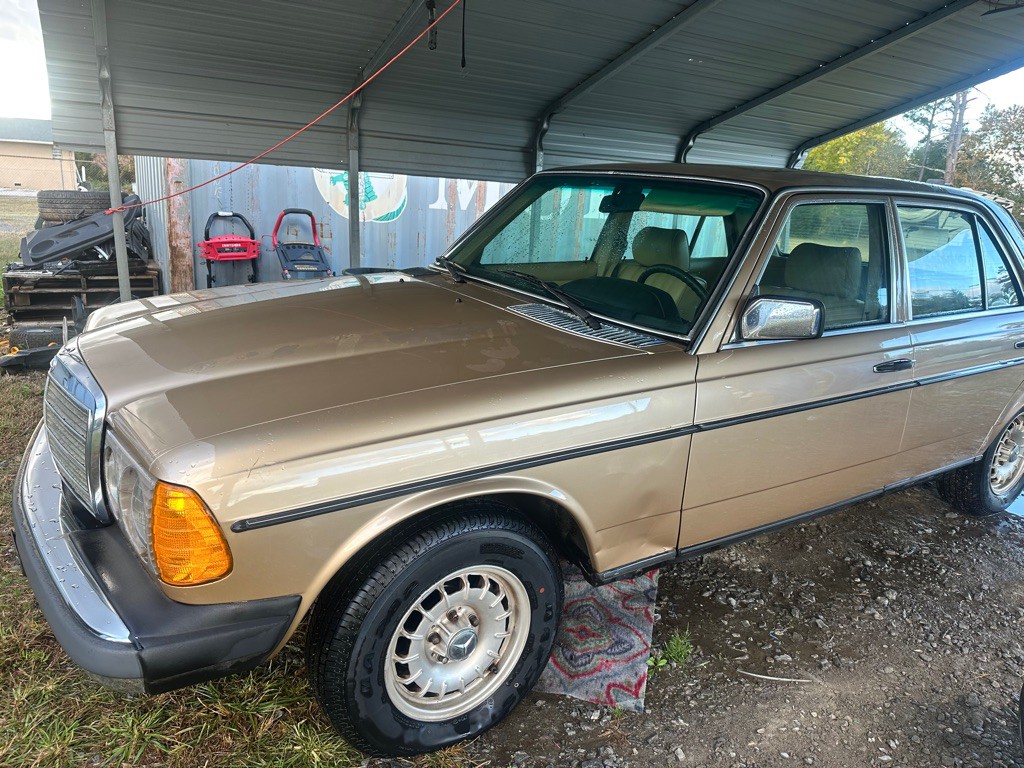 1980 Mercedes-Benz 300-Class Image 1