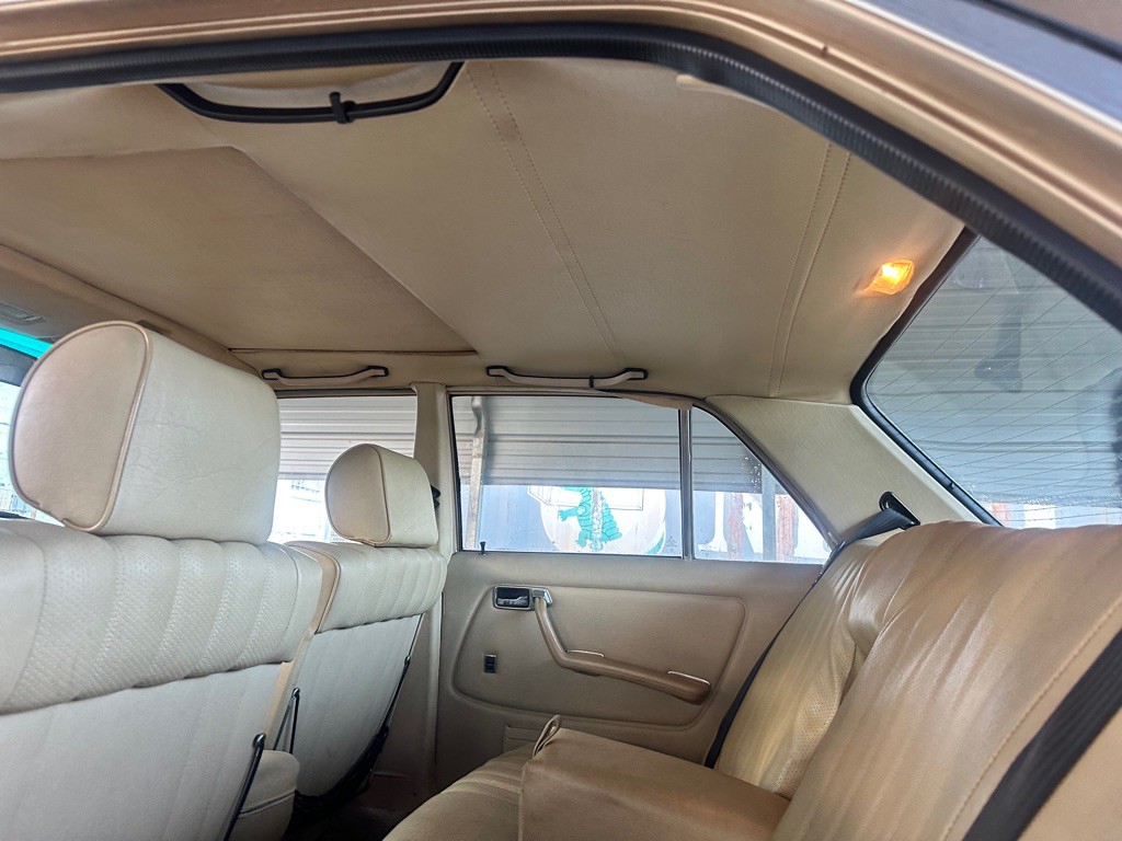 1980 Mercedes-Benz 300-Class Image 13