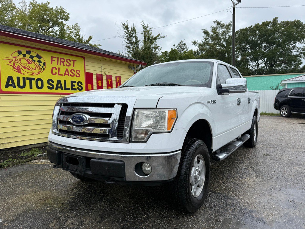 2010 Ford F-150 Image 1