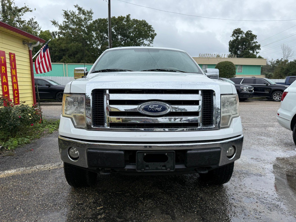 2010 Ford F-150 Image 3