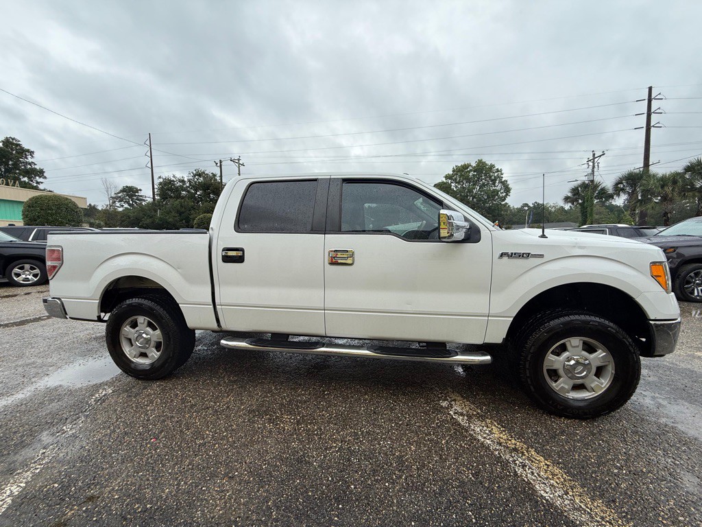 2010 Ford F-150 Image 4