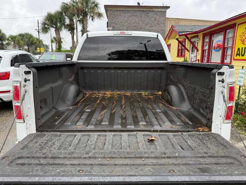 2010 Ford F-150 Image 8