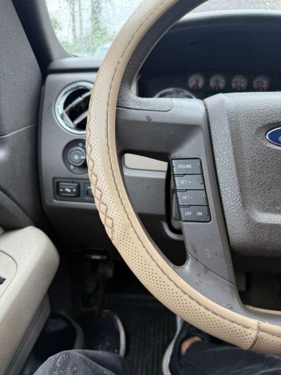 2010 Ford F-150 Image 16