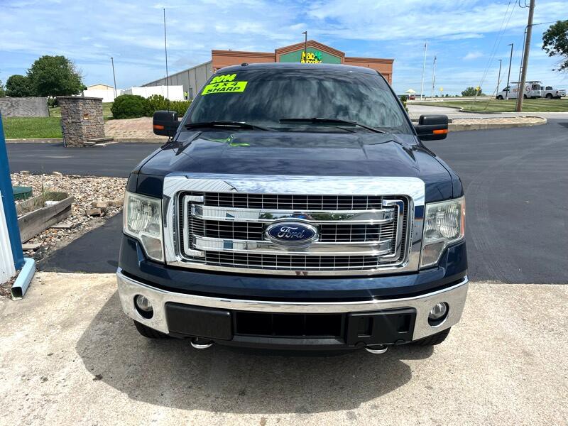 2014 Ford F-150 Image 3