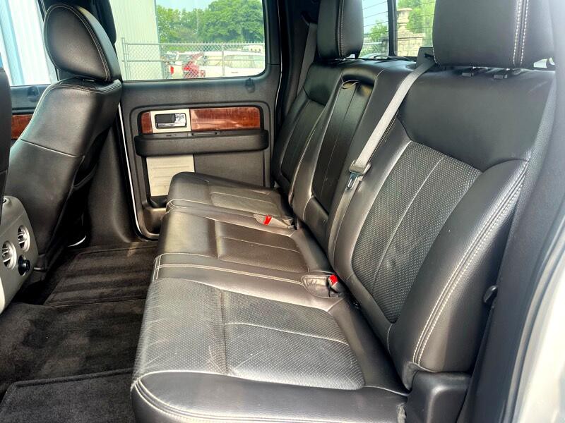 2010 Ford F-150 Image 9