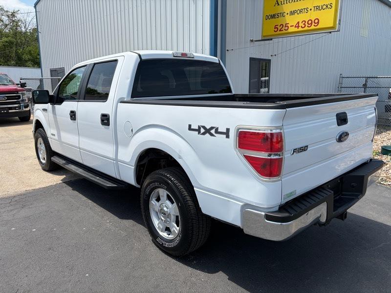 2014 Ford F-150 Image 7