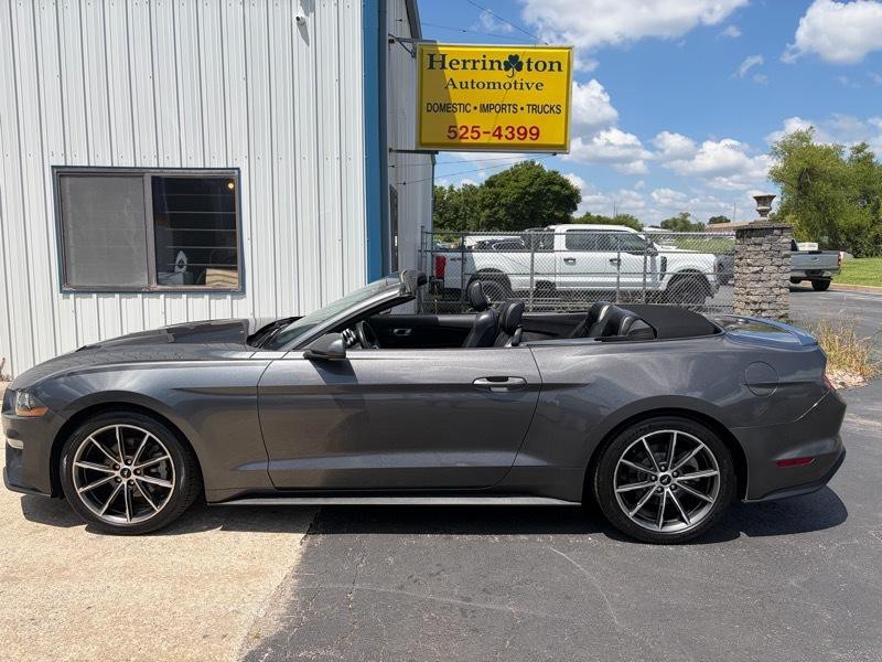 2019 Ford Mustang Image 1