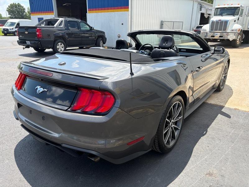 2019 Ford Mustang Image 5
