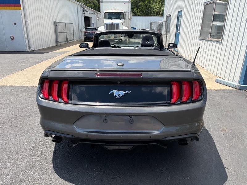 2019 Ford Mustang Image 6